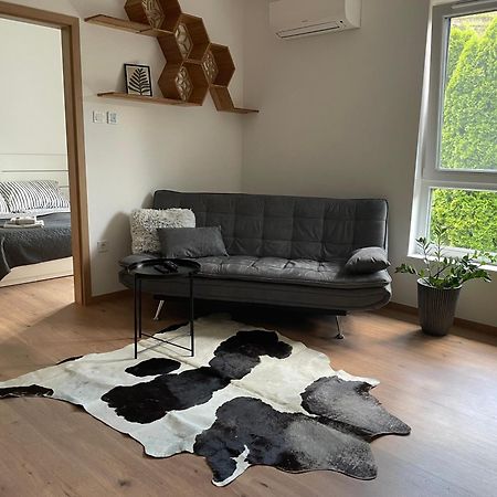 Hexagon Apartman Szeged Eksteriør billede
